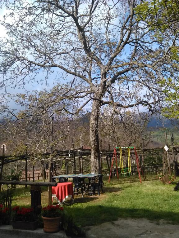Casa Giordano Villa Tramonti Oda fotoğraf