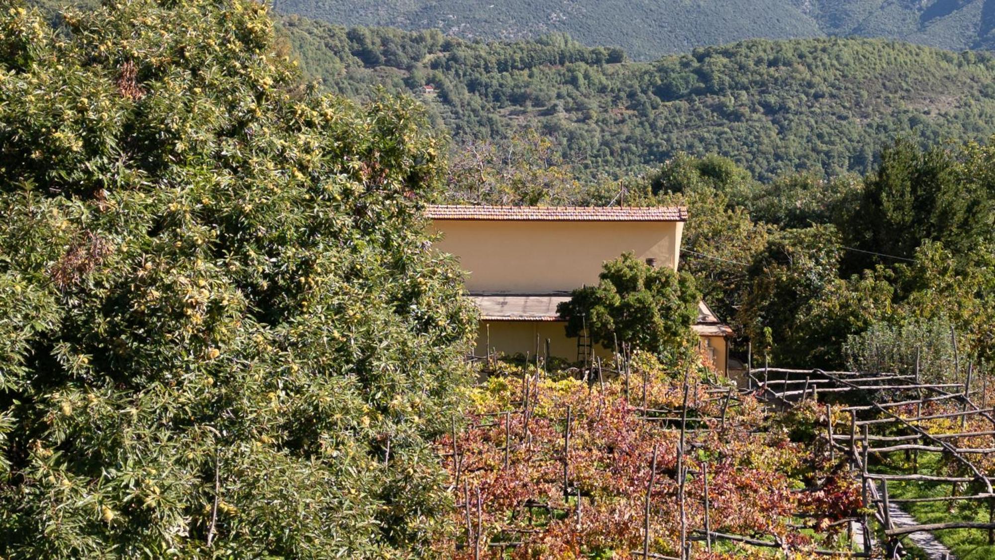 Casa Giordano Villa Tramonti Dış mekan fotoğraf