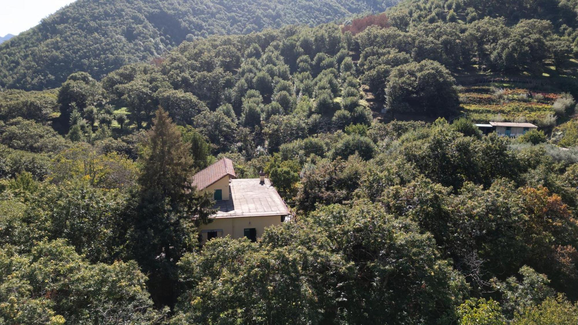 Casa Giordano Villa Tramonti Dış mekan fotoğraf